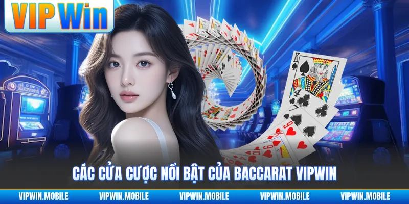Baccarat VIPWIN - Nhịp Chia Bài Kịch Tính Qua Từng Ván - kreno.top