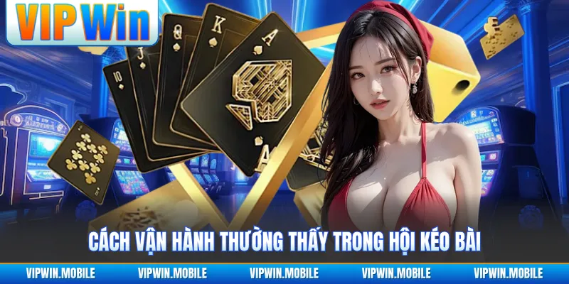 Nhóm Kéo Baccarat - Góc Nhìn Thực Tế Từ Nhiều Phiên Chơi - kreno.top