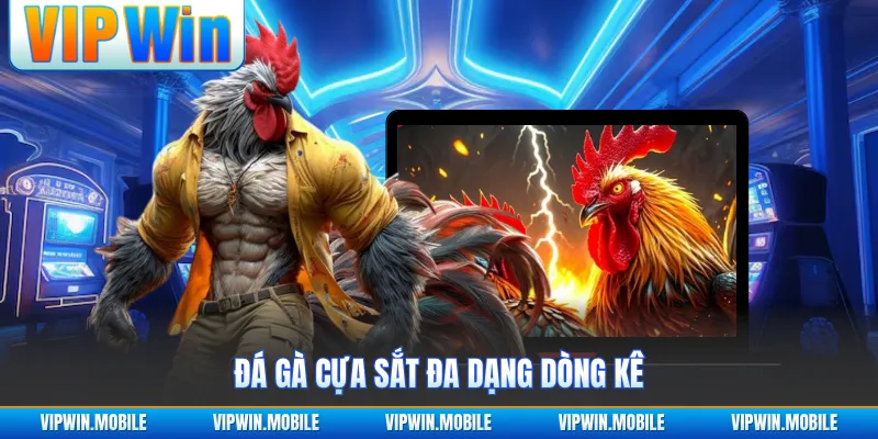 Đá Gà Cựa Sắt - Trận Đấu Chiến Kê Quyết Liệt Gây Chú Ý - kreno.top