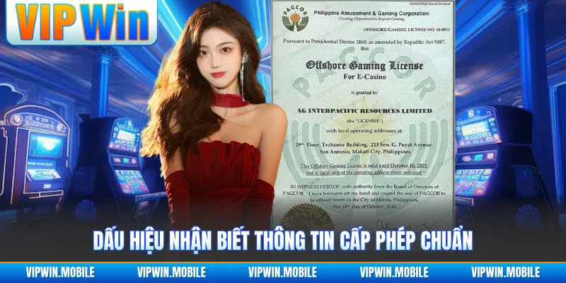 Giấy Phép Hoạt Động VIPWIN - Góc Nhìn Pháp Lý Rõ Ràng - kreno.top