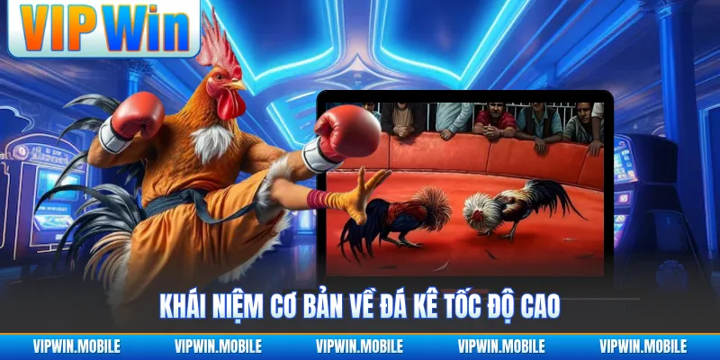 Đá Gà Cựa Sắt - Trận Đấu Chiến Kê Quyết Liệt Gây Chú Ý - kreno.top
