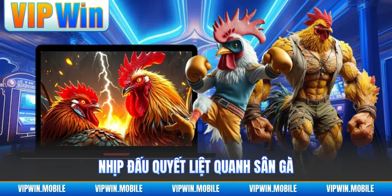 Đá Gà Cựa Sắt - Trận Đấu Chiến Kê Quyết Liệt Gây Chú Ý - kreno.top