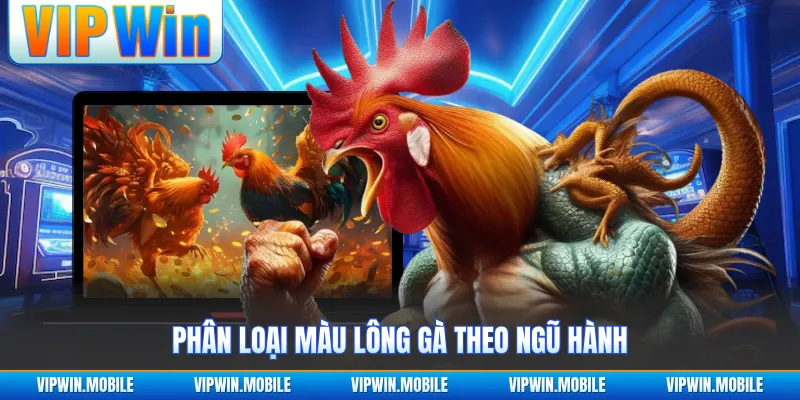 Bảng Màu Mạng Gà Đá Theo Ngày Chuẩn Chỉnh Cho Sư Kê - kreno.top