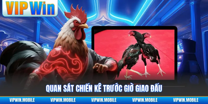Đá Gà VIPWIN - Giao Tranh Chiến Kê Gay Cấn Suốt Từng Hồ - kreno.top