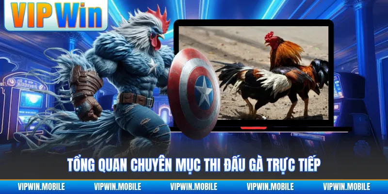 Đá Gà VIPWIN - Giao Tranh Chiến Kê Gay Cấn Suốt Từng Hồ - kreno.top