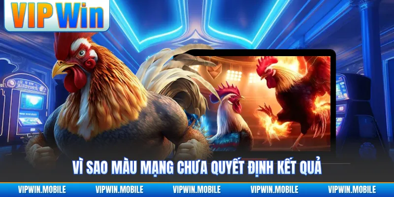 Bảng Màu Mạng Gà Đá Theo Ngày Chuẩn Chỉnh Cho Sư Kê - kreno.top