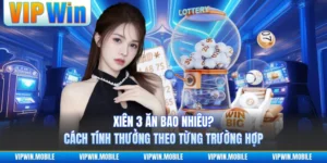 Xổ Số VIPWIN - Nhịp Quay Hấp Dẫn Theo Từng Khung Giờ - kreno.top