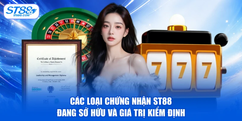 Giấy Phép Hoạt Động - Bảo Chứng Minh Bạch Từ ST88 - kreno.top