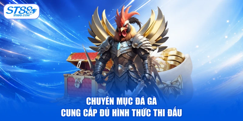 Đá Gà ST88 - Xem Chọi Kê & Tham Gia Cá Cược Dễ Dàng - kreno.top