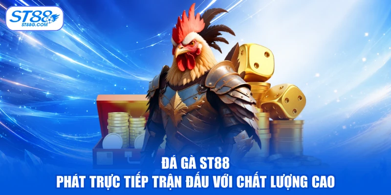 Đá Gà ST88 - Xem Chọi Kê & Tham Gia Cá Cược Dễ Dàng - kreno.top