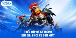 Top 5+ Game Hot ST88 Chơi Cực Chất - Nhận Tiền Liền Tay - kreno.top
